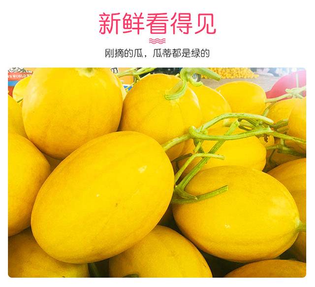 西域美农爆汁牛奶蜜瓜, 4.8-5.2斤左右